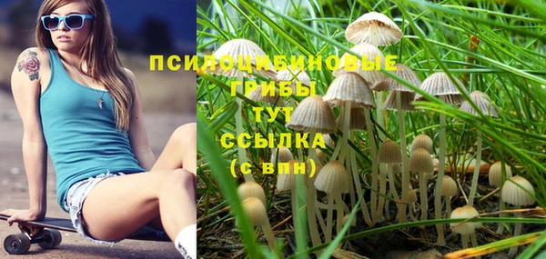 синтетический гашиш Арсеньев