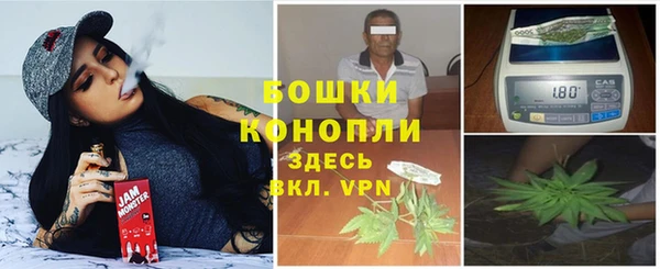 сатива Армянск