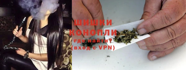 сатива Армянск