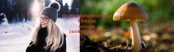 стафф Няндома