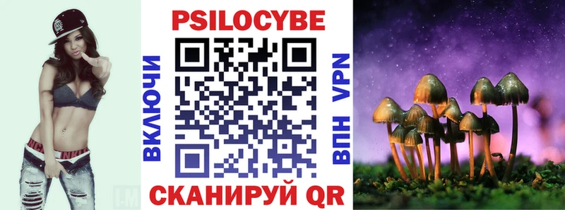 Псилоцибиновые грибы GOLDEN TEACHER  дарк нет состав  Тайга  купить  цена 